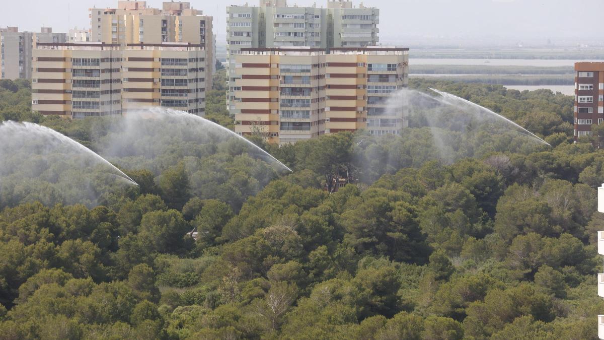 Los bomberos realizan un simulacro en El Saler para prevenir los incendios en el entorno de las viviendas