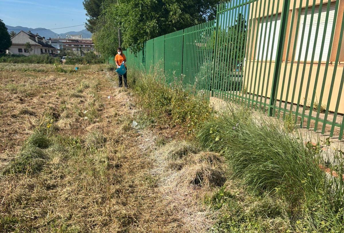 Trabajos para combatir las plagas en Canals.