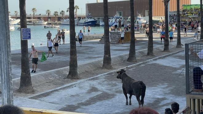 'Bous a la mar' en Benicarló