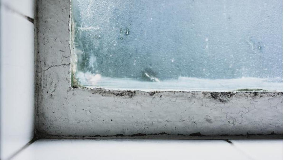 Evita la humitat de l'hivern