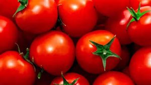 ¡Otra vez me he quedado sin tomates!