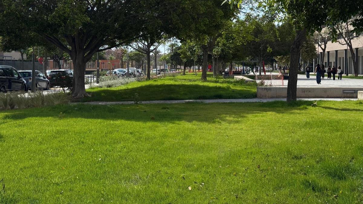 Nueva zona ajardinada en la avenida Vicente Savall de San Vicente