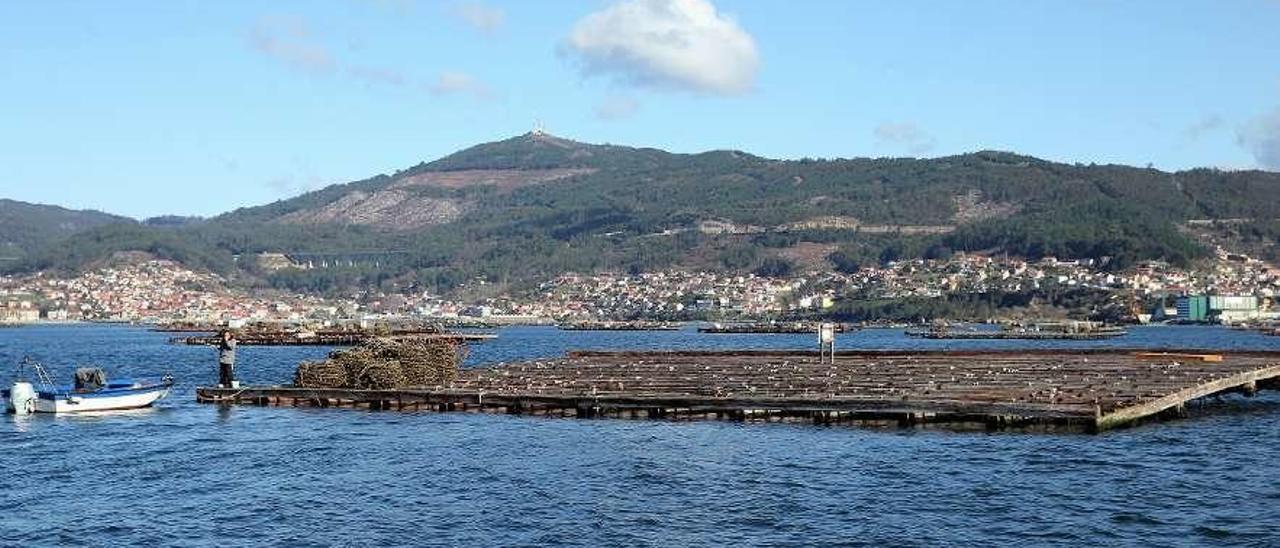 Polígono de bateas en la ría de Vigo. // Marta G. Brea