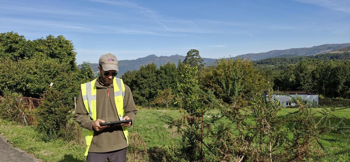 Un inspector de la Xunta consulta su tablet en un monte de Covelo.