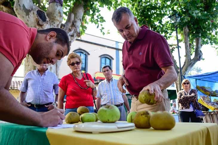 Fiesta de la manzana de Valleseco