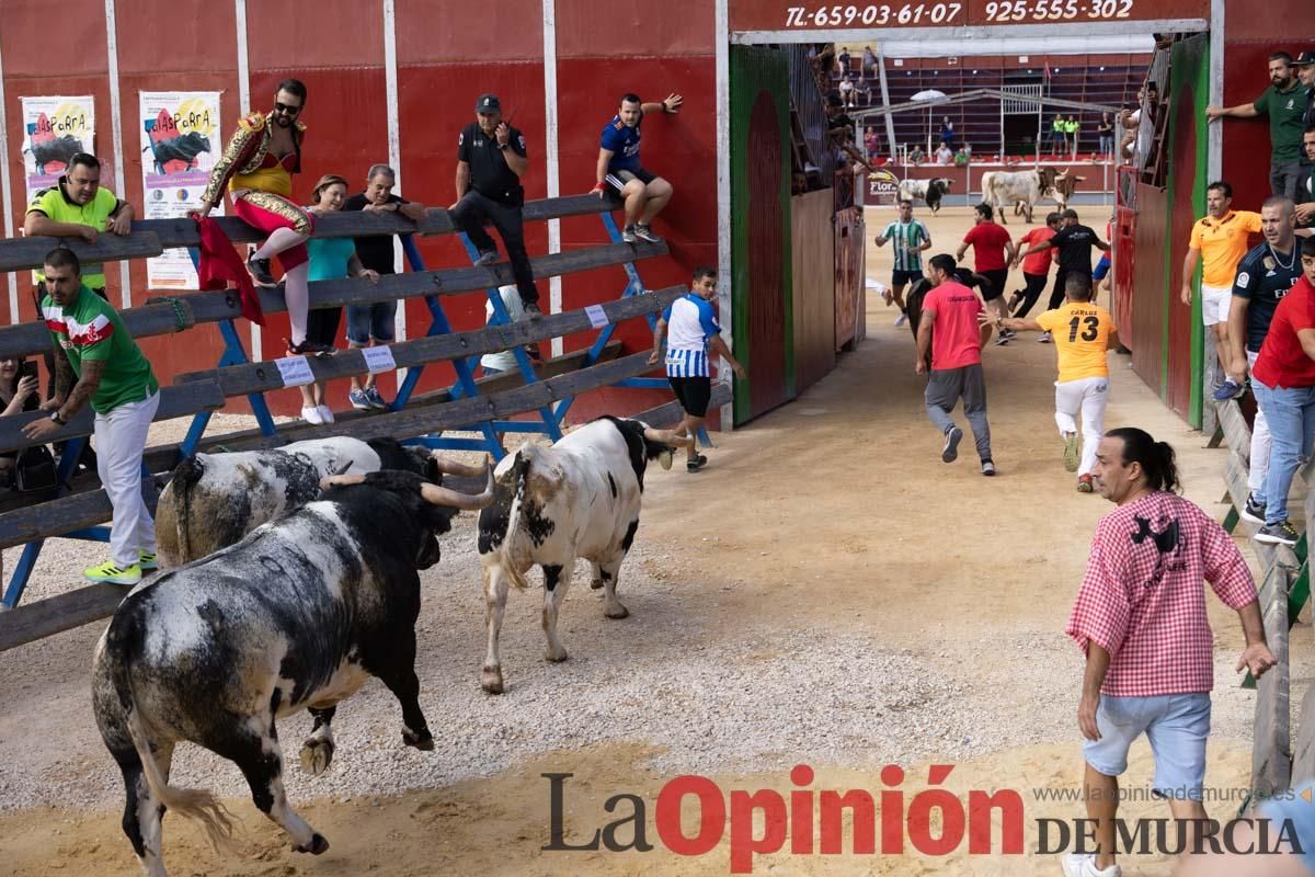 Primer encierro de la Feria del Arroz de Calasparra