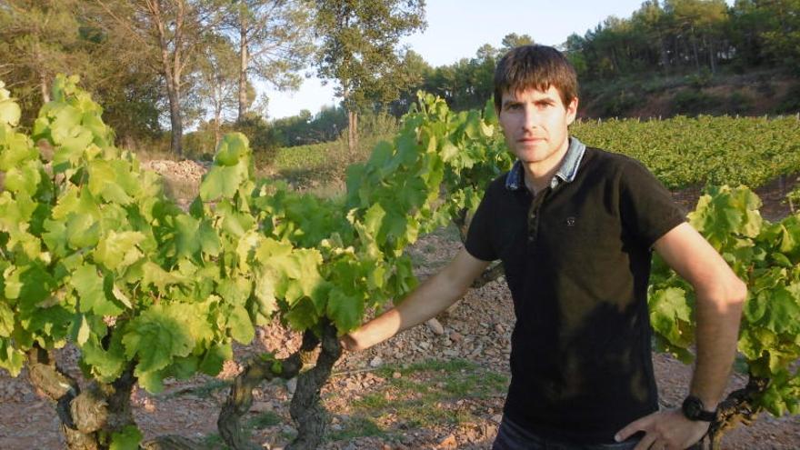 Miquel Palau, enòleg del celler Abadal.