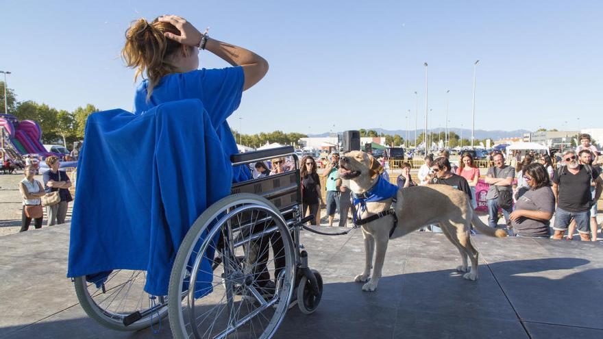 Adoptàlia tanca la jornada amb un balanç positiu pels peluts