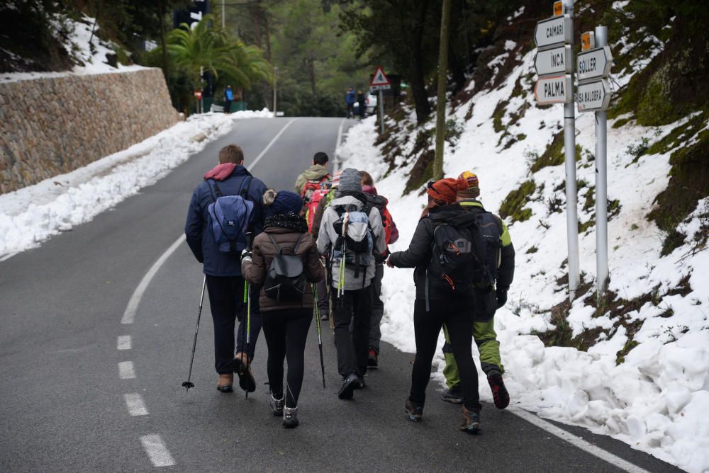 Los mallorquines salen a jugar con la nieve