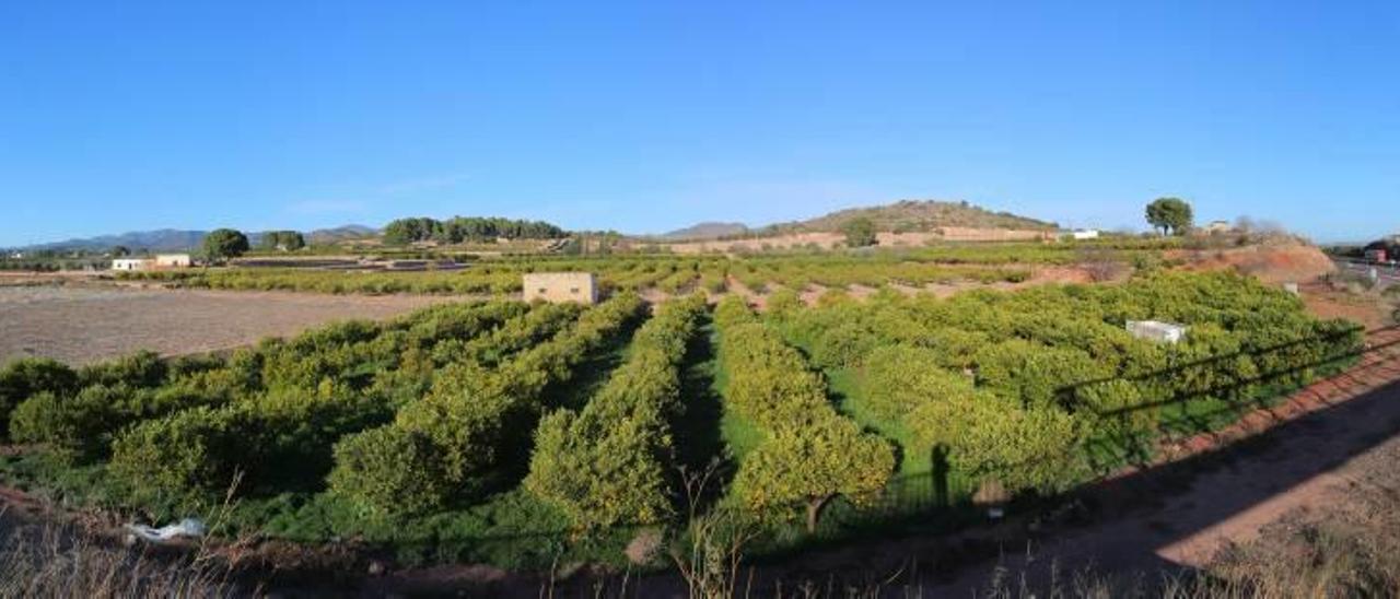 Terrenos en Museros que forman parte de las cuatro cuadrículas mineras donde se ha pedido investigar.