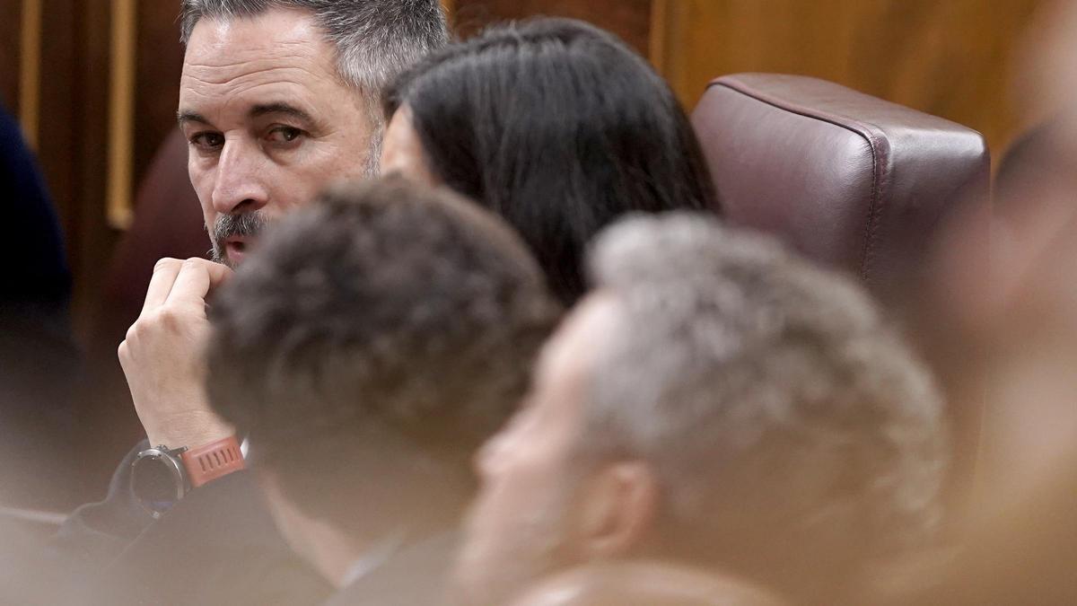 Santiago Abascal, Vox. Pleno en el Congreso de los Diputados.