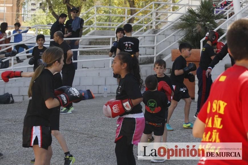 Fiesta del Deporte de Murcia (domingo)