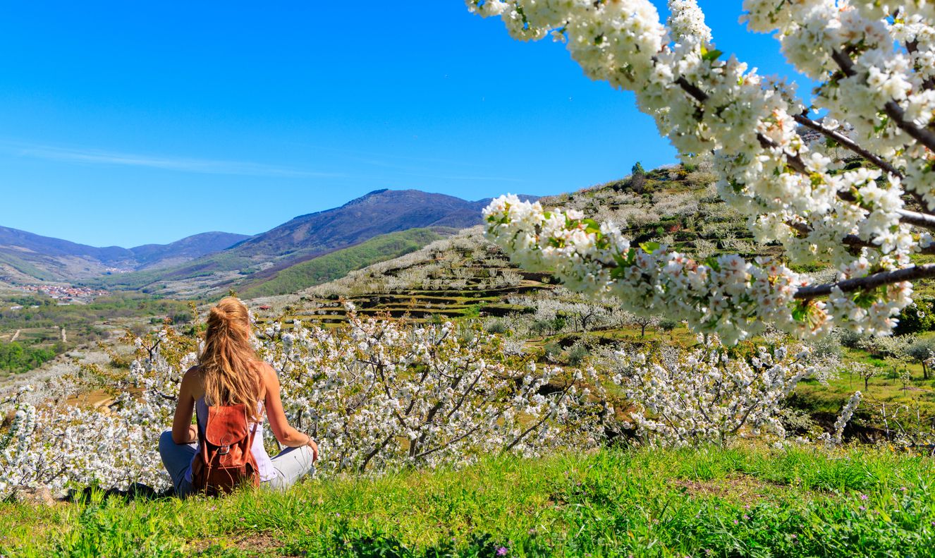 Hermosa panorámica del valle del Jerte con flor de cerezo en España.