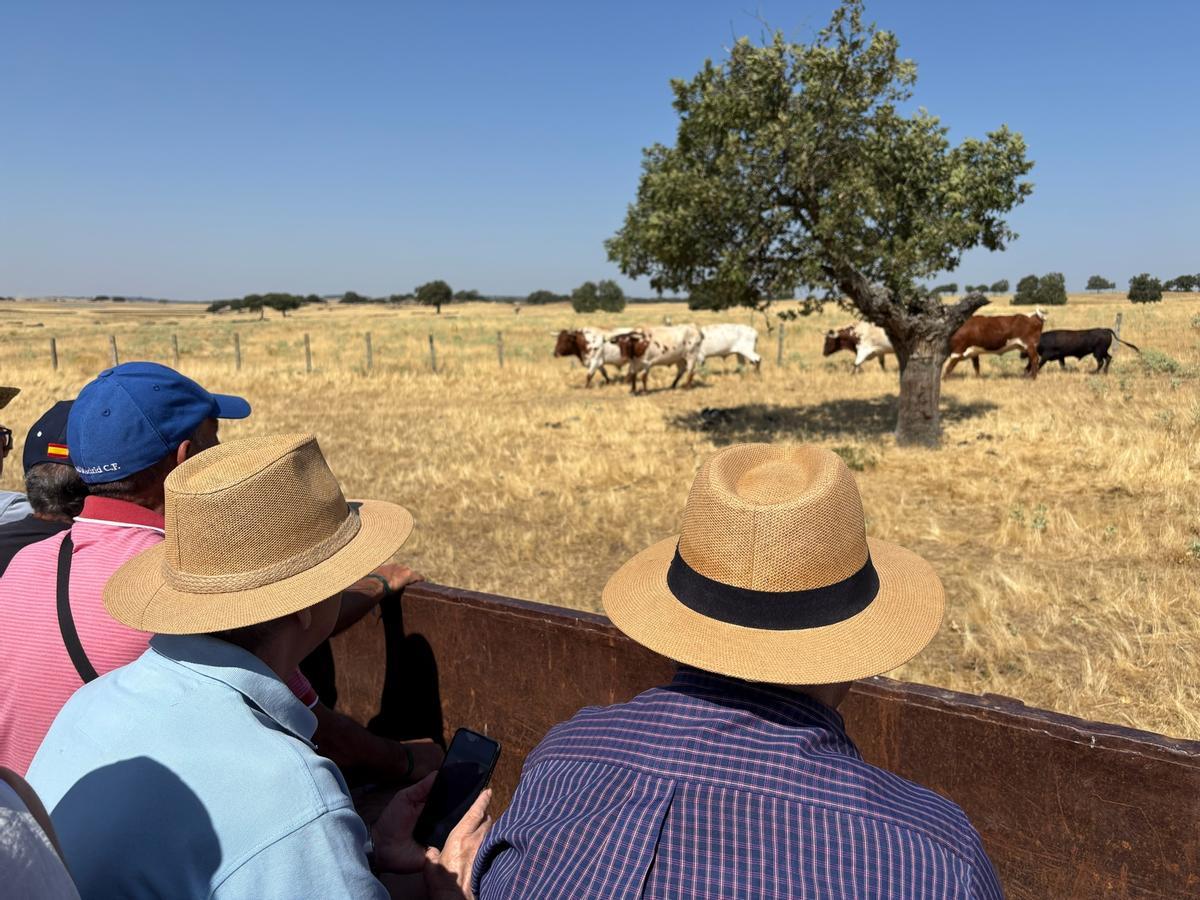 GALERÍA | Fiesta campera con el novillero Pepe Luis Cirugeda en "Toros Villalpando"