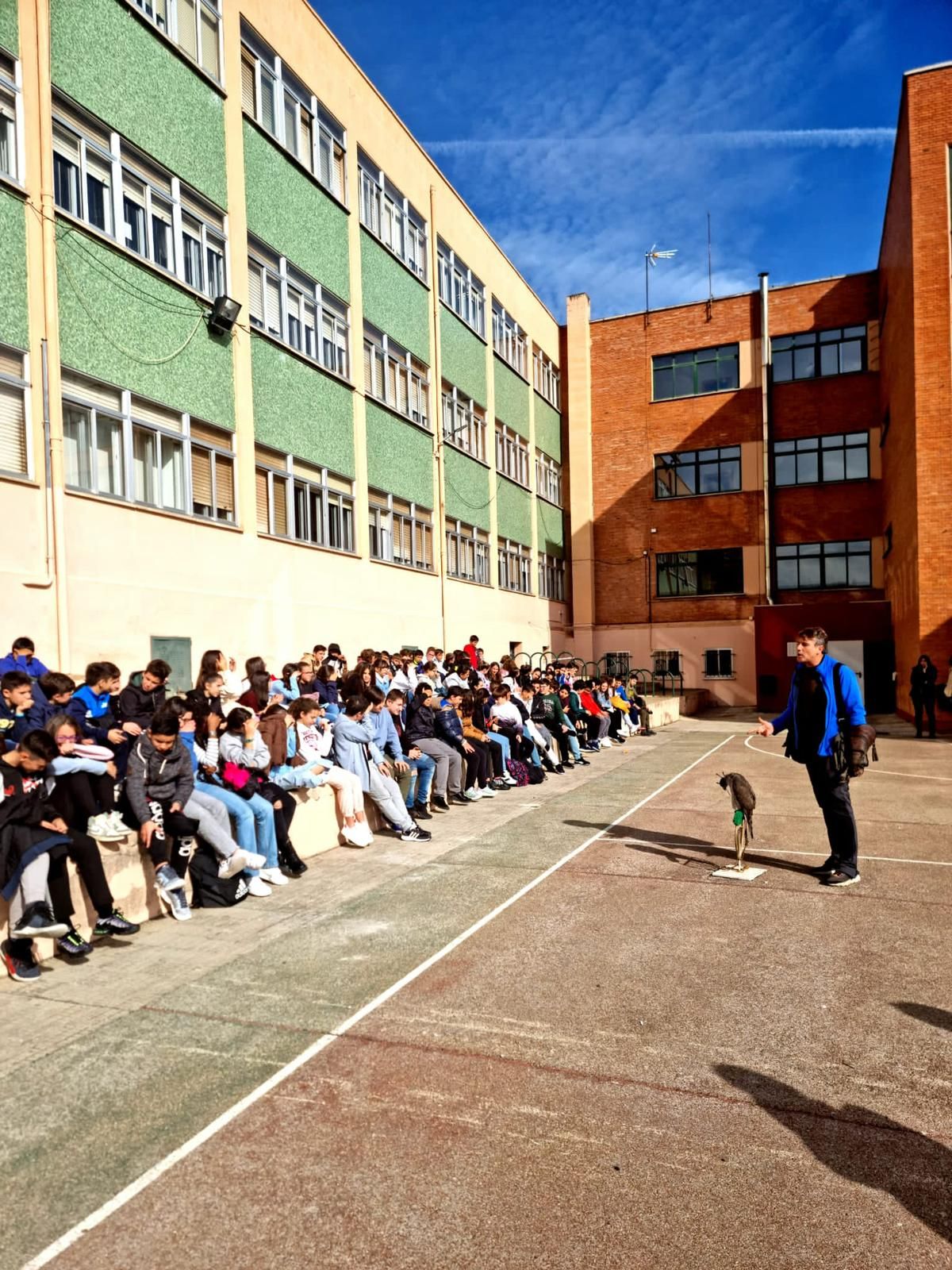 Cetrería en el IES María de Molina