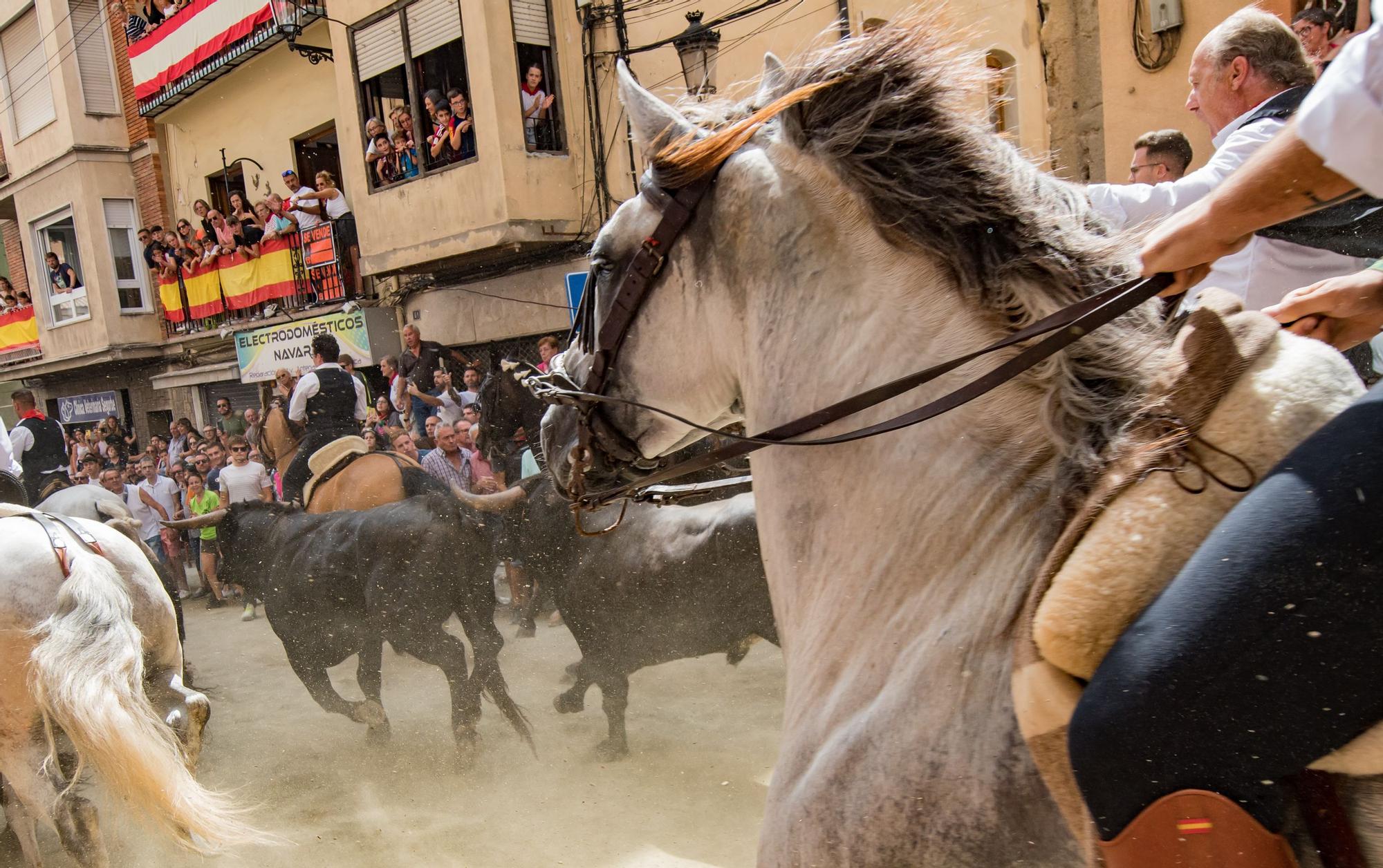 Todas las fotos de la tercera Entrada de Toros y Caballos de Segorbe