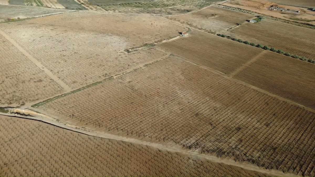 Terreno en el que se instalará la macroplanta de biometano de San Antonio de Requena