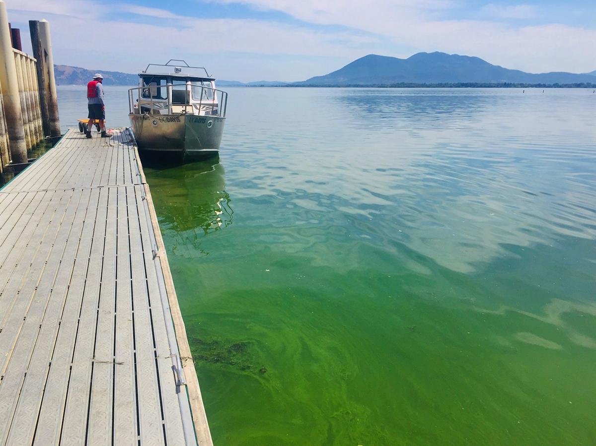 Las aguas del Tahoe presentaron el mayor grado de turbidez en 2017.