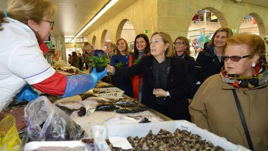 Ana Pastor repartió plantas entre las vendedoras y las clientas de la plaza de Abastos de Pontevedra en un acto del Día de la Mujer. // G.S.