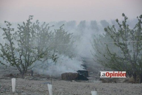 Helada del 17 de febrero de 2016 en Cieza