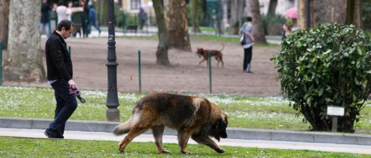 Un vecino paseando a su perro junto al parque canino del Campo San Francisco. | Luisma Murias