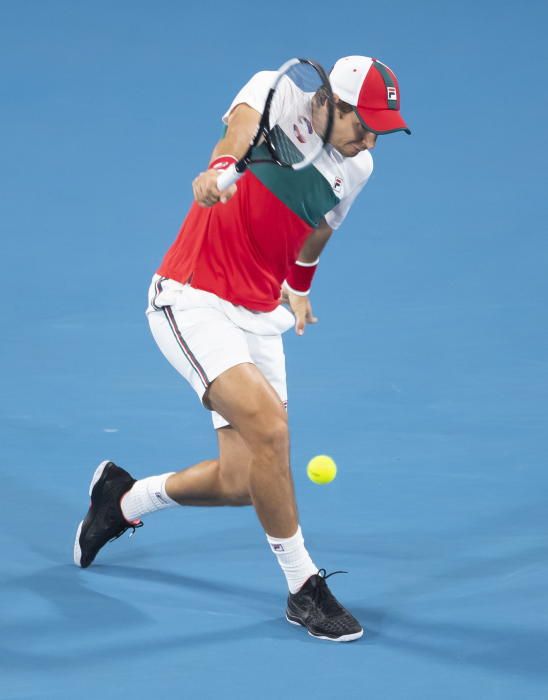 Final de la Copa ATP: Lajovic - Bautista