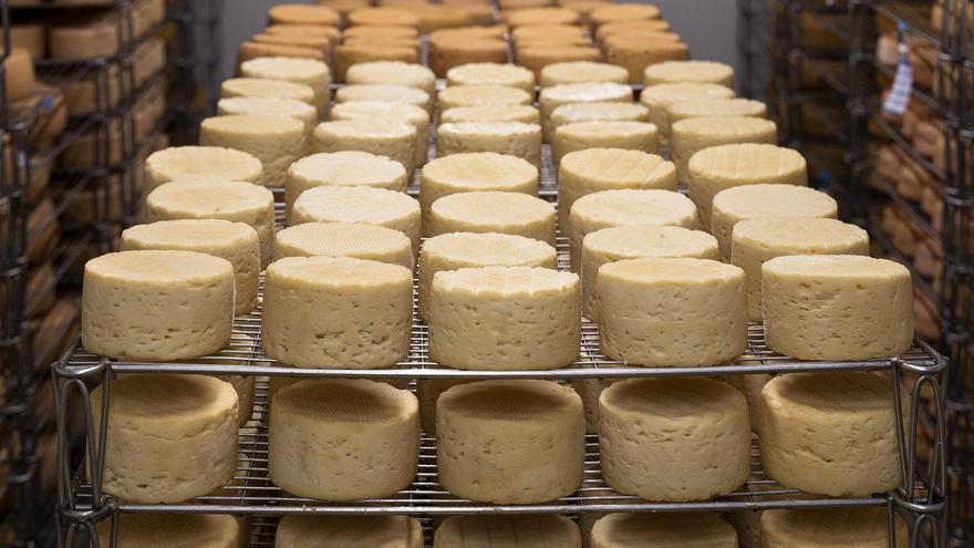Mercadona se supera con un nuevo queso barato y rico en proteínas