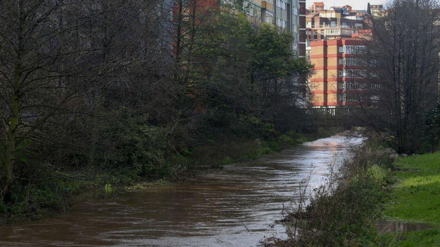 Castrillón adecenta los cauces fluviales del Ferrota y Raíces en su tramo urbano