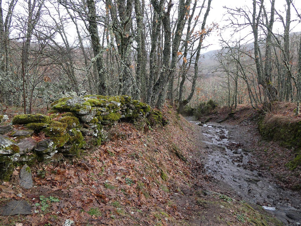La naturaleza que rodea La Hiruela