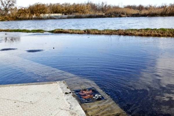 Fotogalería: La crecida del Ebro a su paso por Zaragoza