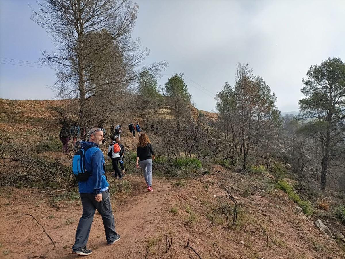 L’Agrupament Escolta i Guia La Salut deViladordis celebra el seu 50è aniversari amb una caminada