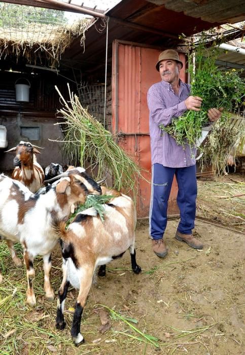 Pepe Guedes, agricultor orgánico