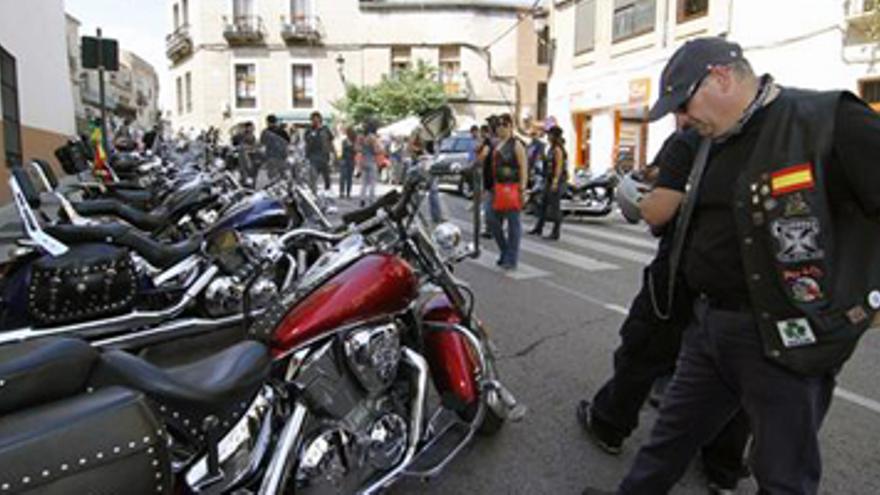 Los Buitres Leonaos se concentran en Cáceres