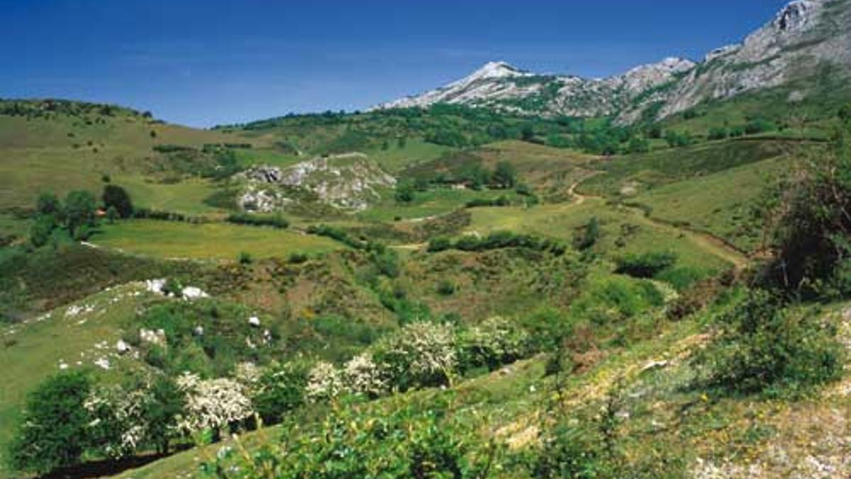 Vista de los Puertos de Marabio, al norte del conejo de Teverga, que alberga llamativos relieves kársticos.