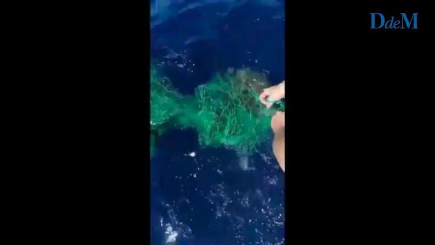 Rescatan una tortuga atrapada en una red pesquera en Cap Blanc