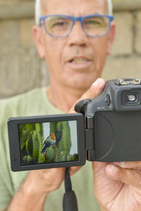 El Jardín Canario para evadirse del confinamiento