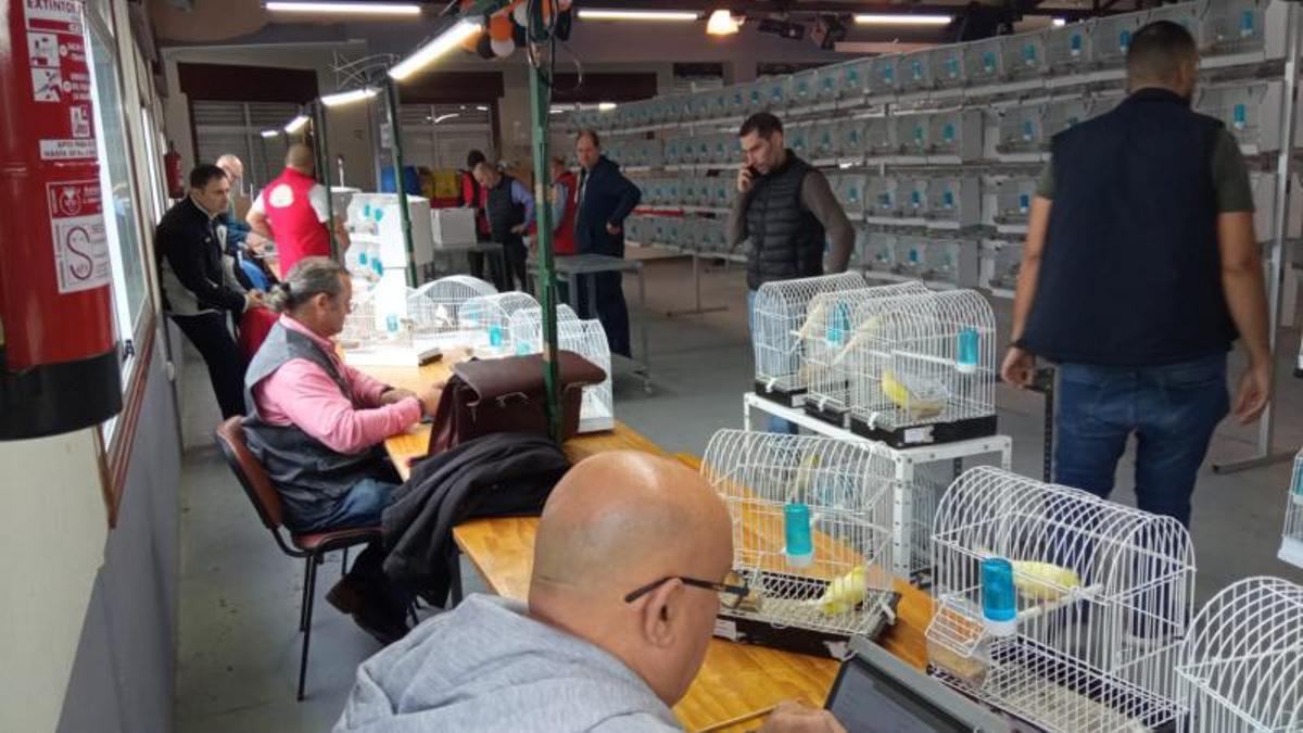 Un momento de la fase de enjuiciamiento, durante el concurso celebrado en Valladares (Vigo). |   //  FDV