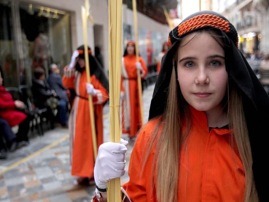 Domingo de Ramos en Cartagena