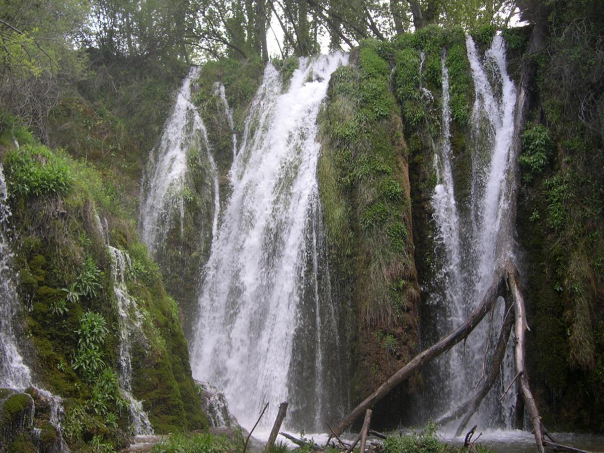 Un paisaje idilico lleno de vegetación