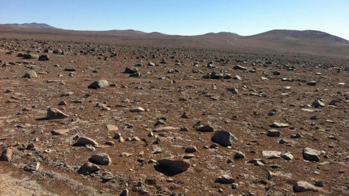 Los virus de la Tierra podrían contaminar Marte