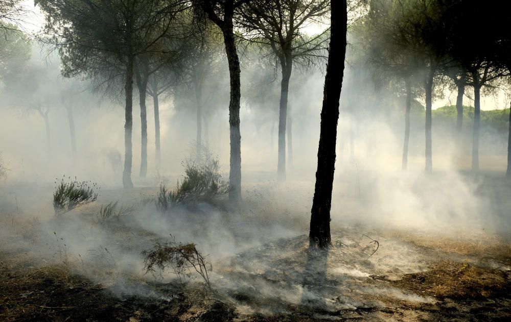 Incendio en Huelva