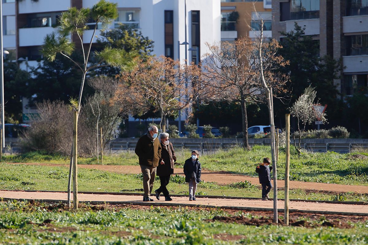 Los parques de Levante y del Flamenco ya florecen