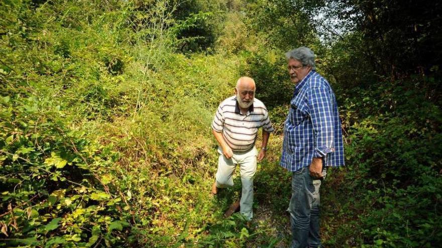 Xurxo Abuín y Pepe Barreiro entre la maleza que se acumula en la vieja vía. // Iñaki Abella