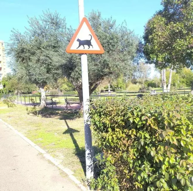 ¡Cuidado: gatos en las inmediaciones! Badajoz coloca señales para avisar a los conductores de la presencia de estos animales