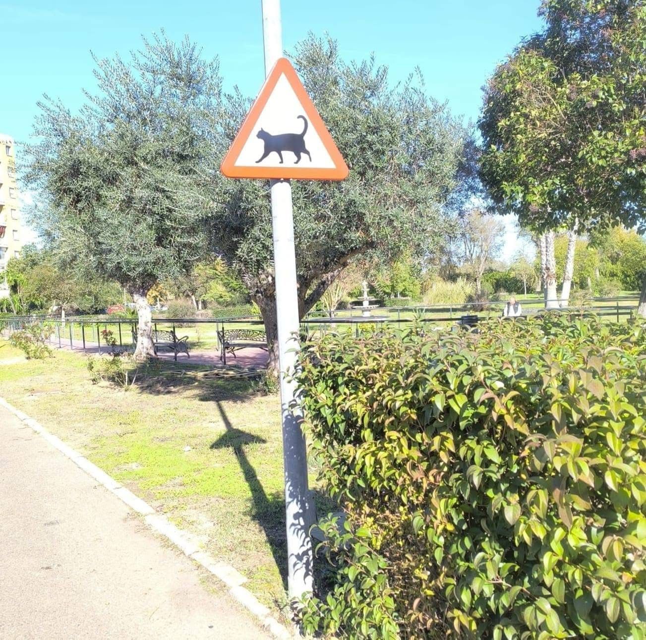 Una de las señales de tráfico instaladas en Badajoz para alertar la presencia de una comunidad de gatos.