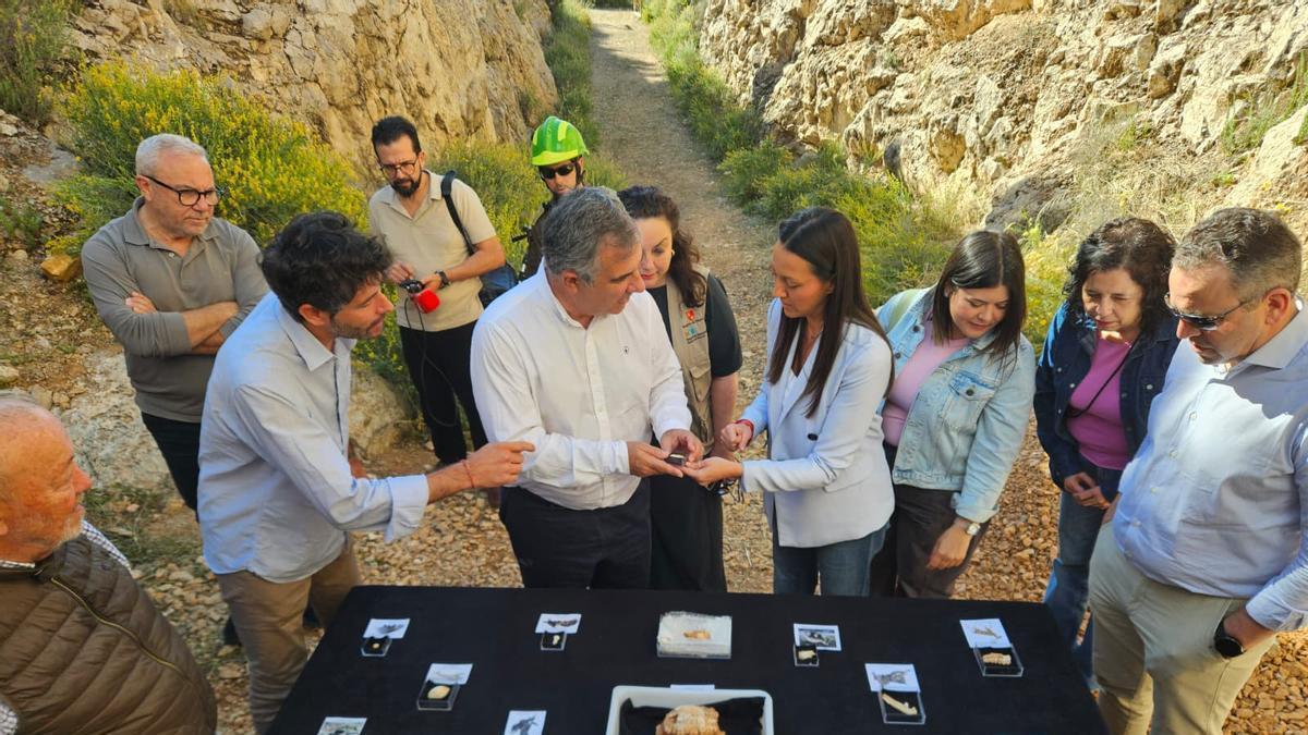 Descubren nuevos restos de lince ibérico en el yacimiento de Quibas en Abanilla