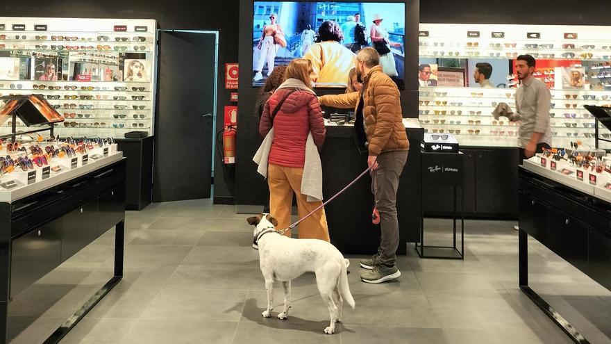 Ley de Bienestar Animal: ¿Qué está pendiente para 2025?