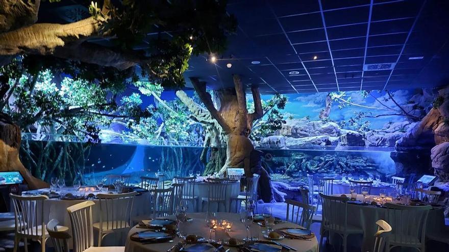 Un restaurante submarino en Sevilla: así son las cenas que ofrece el acuario para degustar los mejores platos entre tiburones, tortugas y rayas