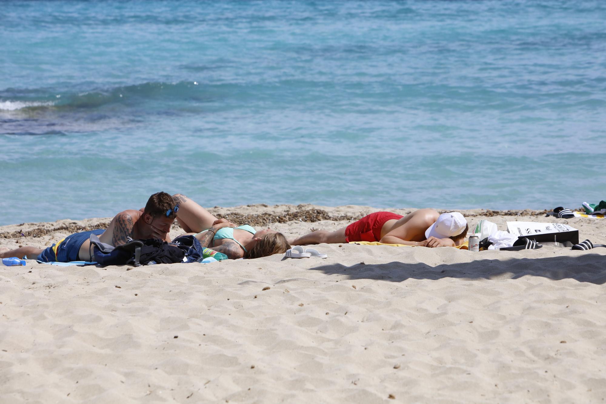 Frühlingsgefühle an der Promenade von Cala Ratjada