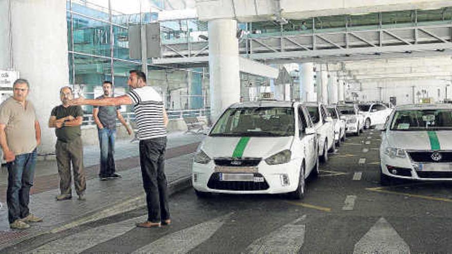 Algunos taxistas de Elche, junto a sus vehículos en la parada que tienen habilitada en el aeropuerto de El Altet.
